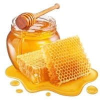 Мёд и продукты пчеловодства в Павлодаре