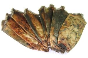 Обработка пушно-мехового сырья в Актобе