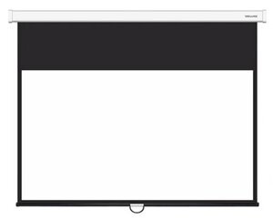 Экран настенный Deluxe DLS-M265х149W - Белый Матовый