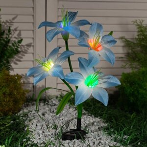 Садовый светильник на солнечной батарее 'Лилия синяя'80 см,4 LED, свечение мульти (RGB)