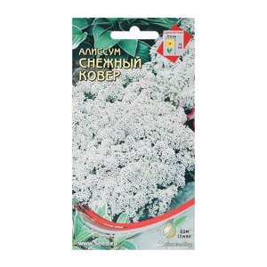 Семена цветов Алиссум 'Снежный ковер'180 шт