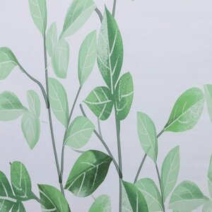 Штора рулонная 'Ветви'блэкаут, 60x200 см, цвет белый