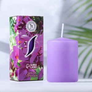 Свеча ароматическая 'Дикая орхидея'4x6 см, в коробке