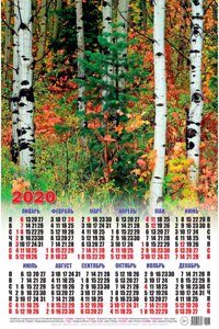 Календарь настенный 2020 год формат А2, 594 х 420 мм