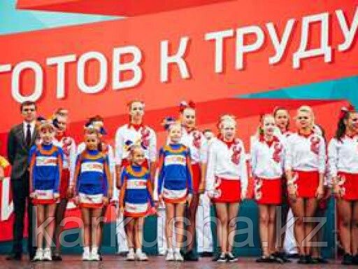 Программное обеспечение «АИС Сбора и подведение итогов сдачи норм ГТО» - опт