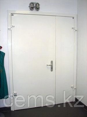 Двери рентгенозащитные от компании ТОО "Компания CEMS" - фото 1