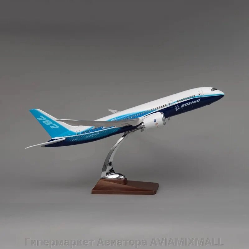 Модель самолета Boeing 787-8 Dreamliner в фирменной раскраске авиастроительной компании Boeing, масштаб 1/130 от компании Гипермаркет Авиатора AVIAMIXMALL - фото 1