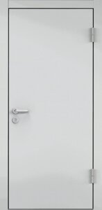 Дверь противопожарная EI 60 RAL 7035 серый / RAL 7035 серый