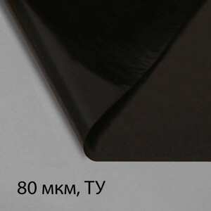 Плёнка полиэтиленовая, техническая, 80 мкм, чёрная, длина 10 м, ширина 3 м, рукав (1.5 м x 2), Эконом 50
