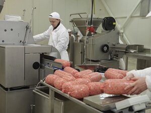 Минизавод для переработки мяса (Колбасный цех) на 600 кг/смену