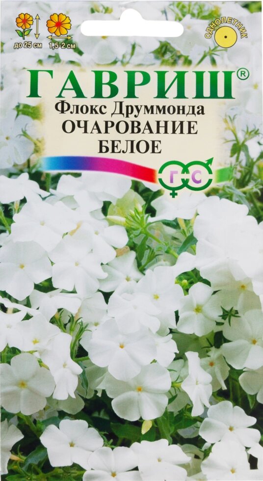 Флокс «Очарование белое Друммонд», 0.05 г - распродажа