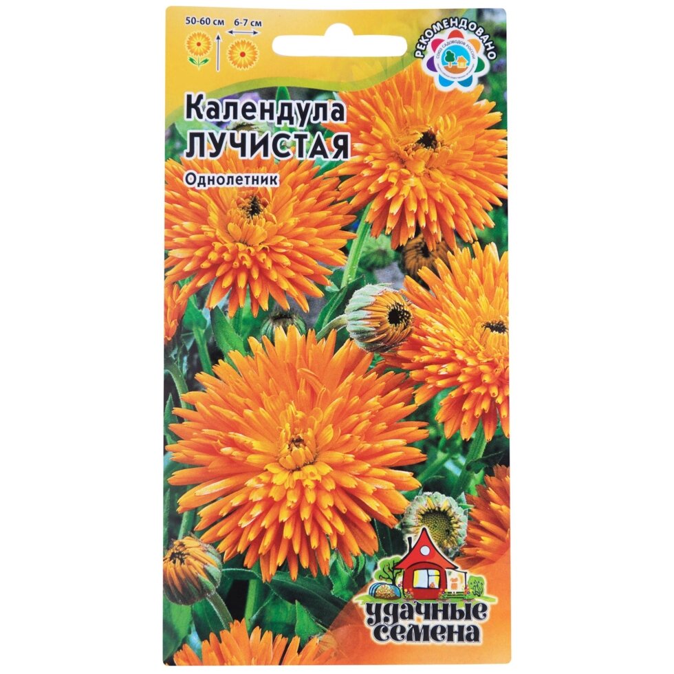 Календула лучистая, 0.5 г - обзор