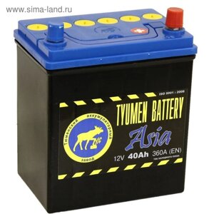 Аккумуляторная батарея Тюмень 40 Ач, обратная полярность 6СТ-40LR, Азия