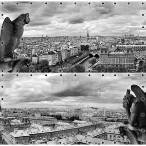 Фотосетка, из двух полотен по 314 155 см, с фотопечатью, люверсы шаг 0.3 м, «Вид на Париж»