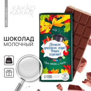 Шоколад молочный «Лёгкого учебного года» , 100 г.