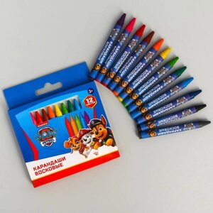 Восковые карандаши, набор 12 цветов, высота 8 см, диаметр 0,8 см, Щенячий патруль