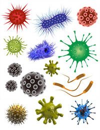 Микроорганизмы схематично.jpg