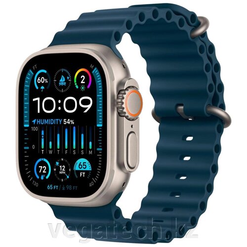 Часы Apple Watch Ultra2 49mm Titanium/Blue Ocean Band