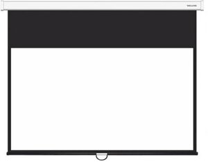 Экран настенный Deluxe DLS-M300x180W - Белый Матовый