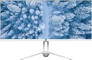 Монитор 2E LCD 25.7" D2621W