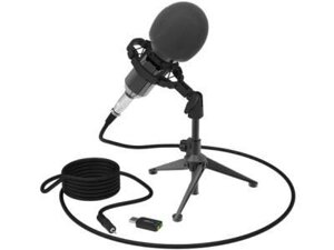 Микрофон Ritmix RDM-160 черный