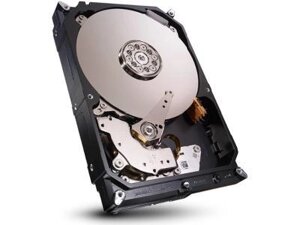 Western Digital 1W10001 1TB