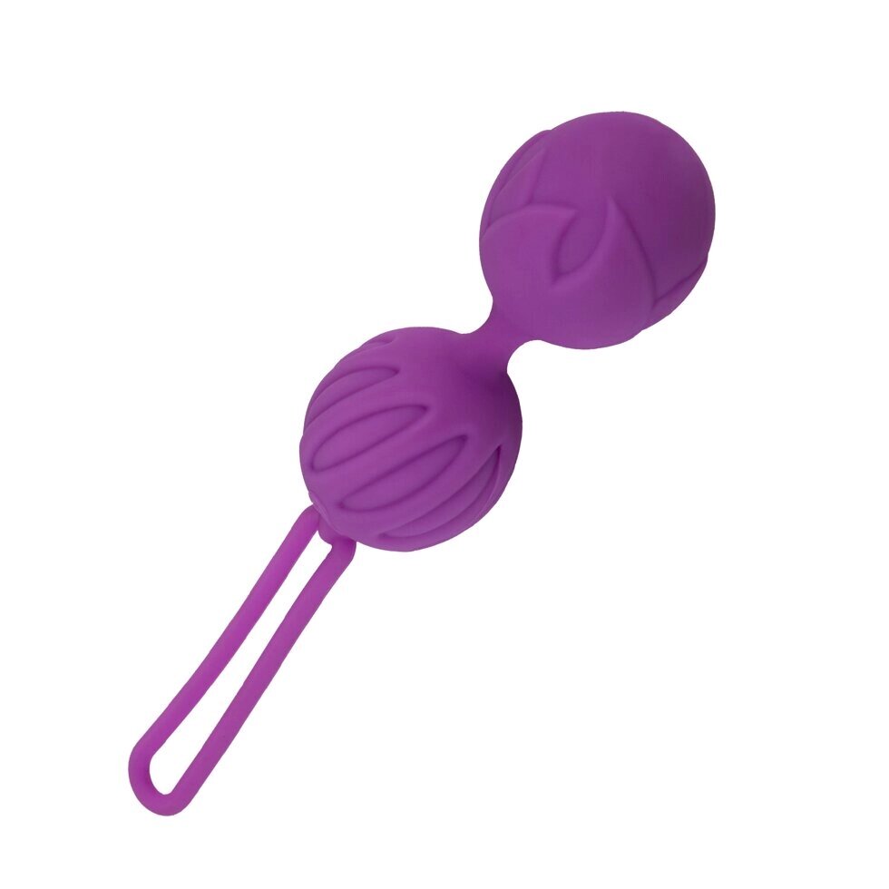 Вагинальные шарики Geisha Lastic Ball фиолетовые от Adrien Lastic (размер S) от компании Секс шоп "More Amore" - фото 1