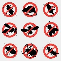 Средства для уничтожения бытовых насекомых и грызунов