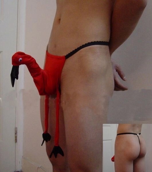 Мужские трусы в виде "Веселой птички" от компании Оптовая компания "Sex Opt" - фото 1