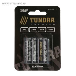 Батарейка алкалиновая TUNDRA, AAA , LR3, блистер, 4 шт.