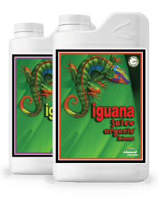 Базовое питание Органика Iguana Juice
