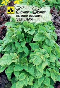 Семена периллы овощная зеленая в Астане от компании "КазГидропоника"