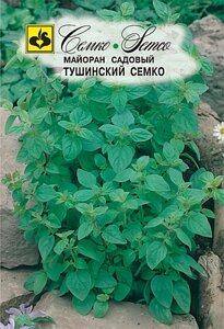 Семена майорана Тушинский Семко в Астане от компании "КазГидропоника"