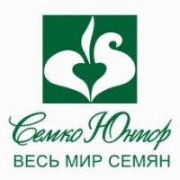 Зелень, пряные травы