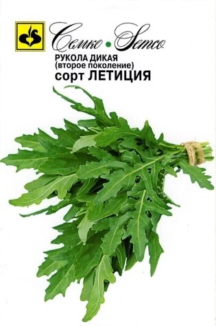Семена руколы Летиция ##от компании## "КазГидропоника" - ##фото## 1