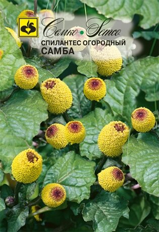 Семена спилантеса огородного Самба ##от компании## "КазГидропоника" - ##фото## 1