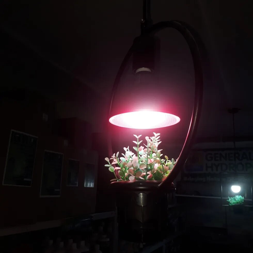 Светодиодная лампа GROW LAMP-20W Philips GreenPower Led от компании "КазГидропоника" - фото 1