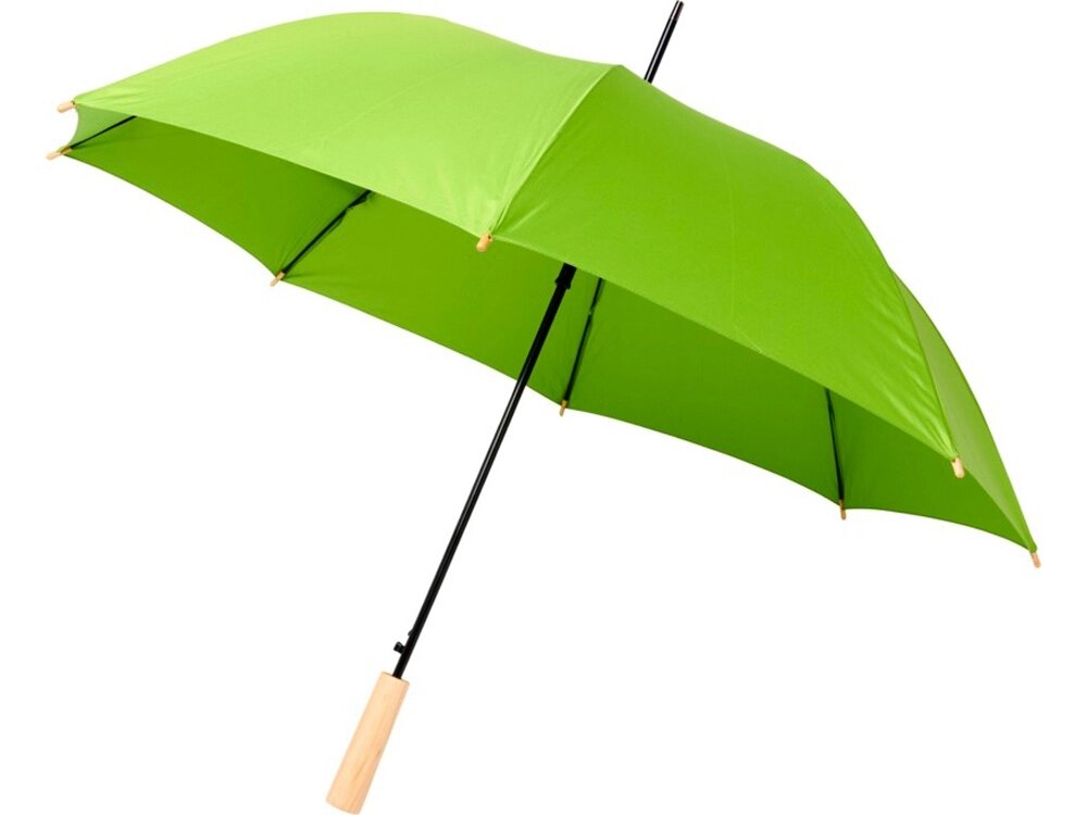 23-дюймовый автоматический зонт Alina из переработанного ПЭТ-пластика, лайм от компании ТОО VEER Company Group / Одежда и сувениры с логотипом - фото 1