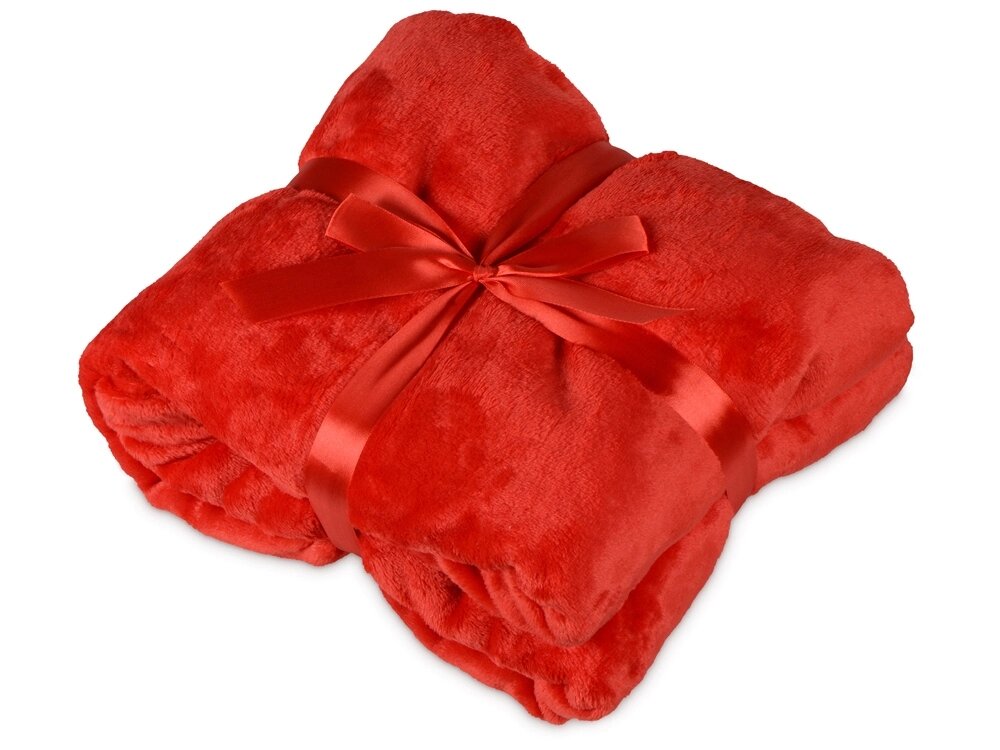 Плед мягкий флисовый Fancy, красный от компании ТОО VEER Company Group / Одежда и сувениры с логотипом - фото 1