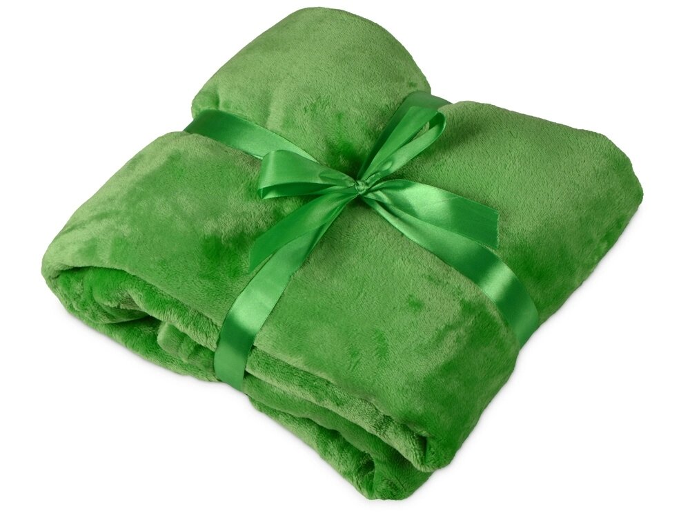 Плед мягкий флисовый Fancy, зеленый от компании ТОО VEER Company Group / Одежда и сувениры с логотипом - фото 1