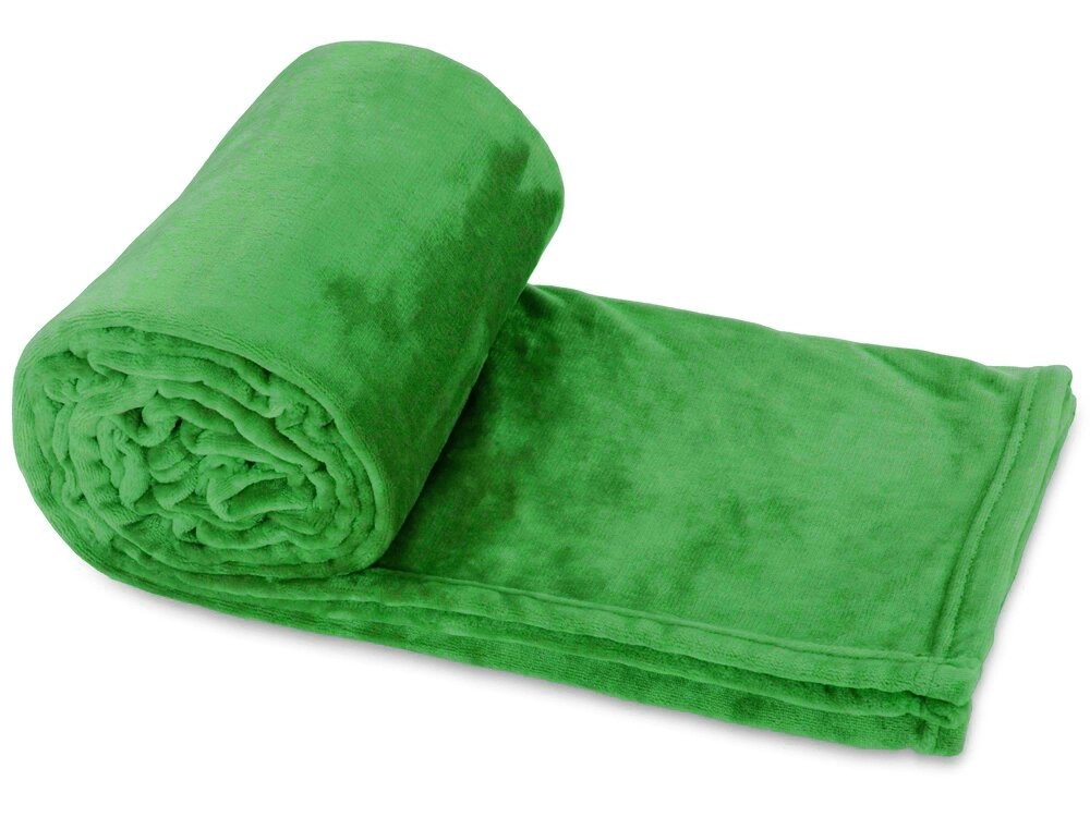 Плед Тедди, зеленый от компании ТОО VEER Company Group / Одежда и сувениры с логотипом - фото 1