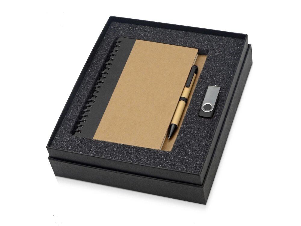 Подарочный набор Essentials с флешкой и блокнотом А5 с ручкой, черный от компании ТОО VEER Company Group / Одежда и сувениры с логотипом - фото 1