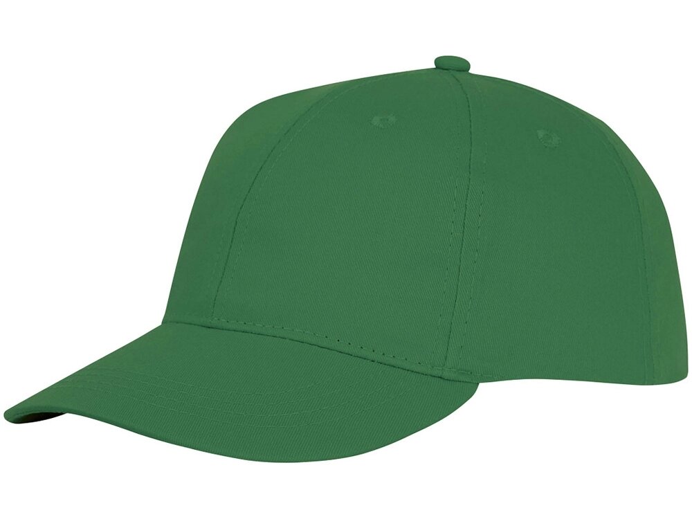 Шестипанельная кепка Ares, зеленый папоротник от компании ТОО VEER Company Group / Одежда и сувениры с логотипом - фото 1