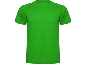 Спортивная футболка Montecarlo мужская, папоротниковый