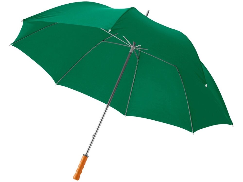 Зонт Karl 30 механический, зеленый от компании ТОО VEER Company Group / Одежда и сувениры с логотипом - фото 1