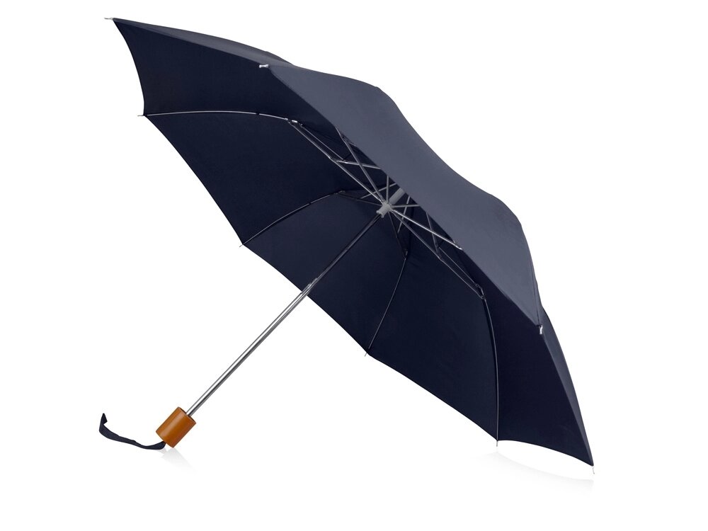 Зонт Oho двухсекционный 20, синий от компании ТОО VEER Company Group / Одежда и сувениры с логотипом - фото 1
