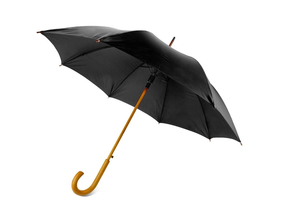 Зонт-трость Радуга, черный от компании ТОО VEER Company Group / Одежда и сувениры с логотипом - фото 1