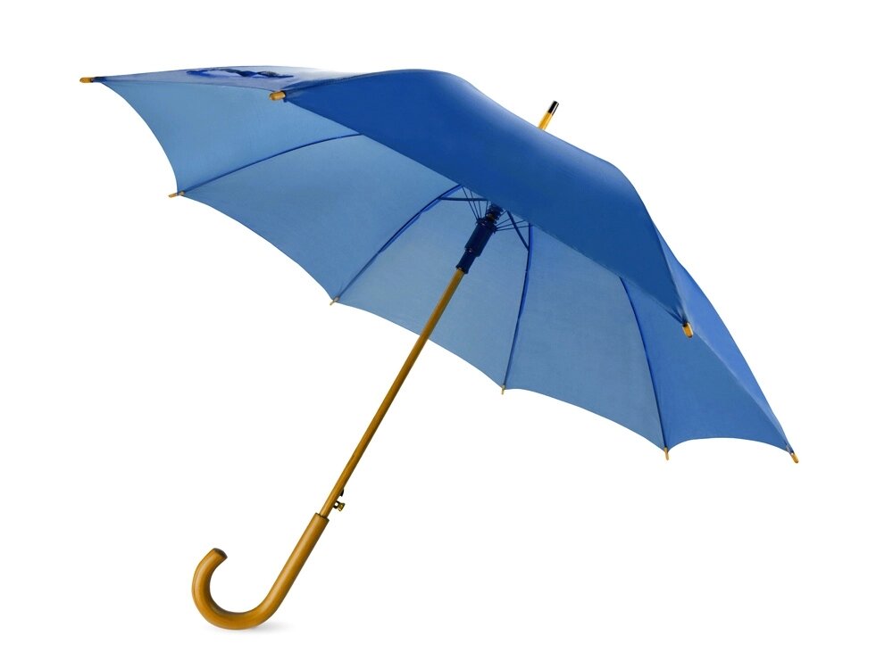 Зонт-трость Радуга, синий от компании ТОО VEER Company Group / Одежда и сувениры с логотипом - фото 1