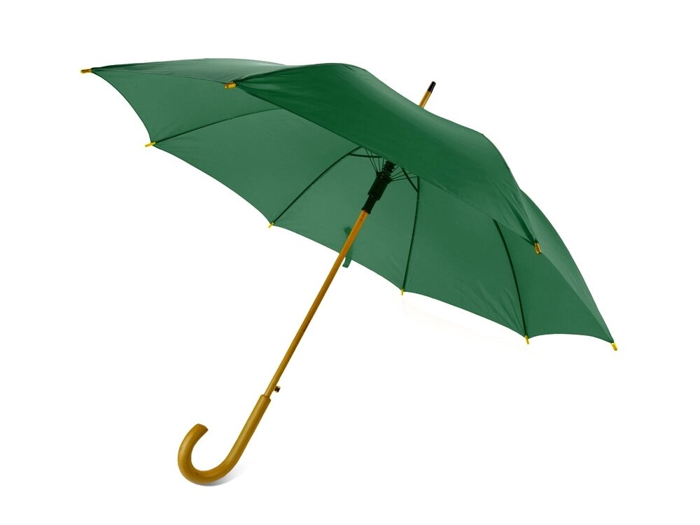 Зонт-трость Радуга, зеленый от компании ТОО VEER Company Group / Одежда и сувениры с логотипом - фото 1