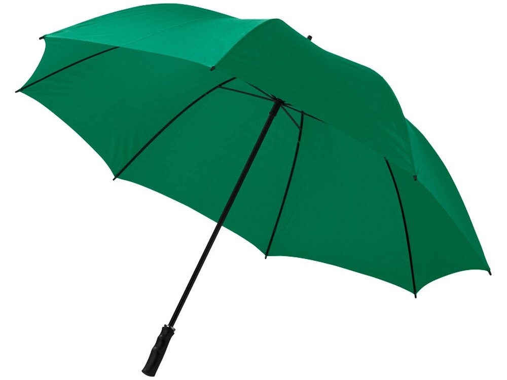 Зонт-трость Zeke 30, зеленый от компании ТОО VEER Company Group / Одежда и сувениры с логотипом - фото 1